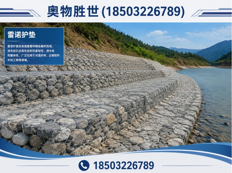 陇南格宾网展示图